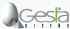 gesta